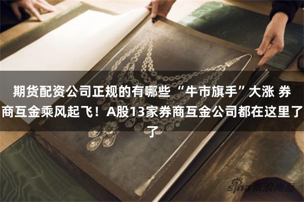 期货配资公司正规的有哪些 “牛市旗手”大涨 券商互金乘风起飞！A股13家券商互金公司都在这里了