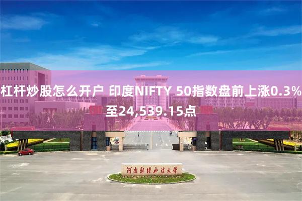 杠杆炒股怎么开户 印度NIFTY 50指数盘前上涨0.3%至24,539.15点