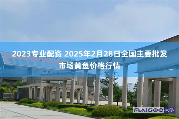 2023专业配资 2025年2月28日全国主要批发市场黄鱼价格行情