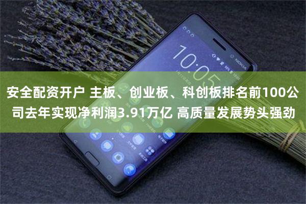 安全配资开户 主板、创业板、科创板排名前100公司去年实现净利润3.91万亿 高质量发展势头强劲