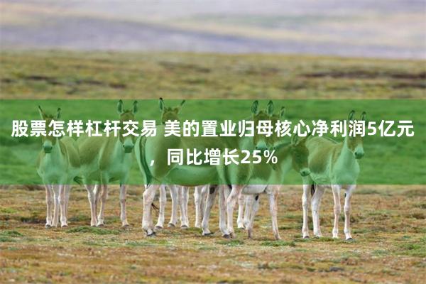 股票怎样杠杆交易 美的置业归母核心净利润5亿元，同比增长25%