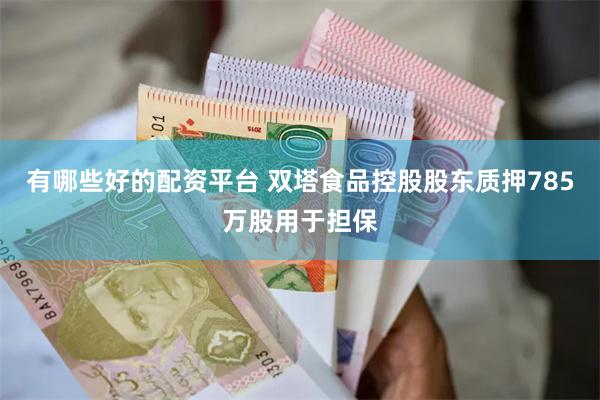 有哪些好的配资平台 双塔食品控股股东质押785万股用于担保