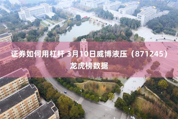 证券如何用杠杆 3月10日威博液压（871245）龙虎榜数据