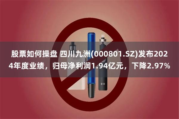 股票如何操盘 四川九洲(000801.SZ)发布2024年度业绩，归母净利润1.94亿元，下降2.97%