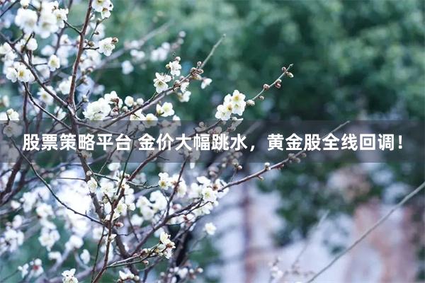 股票策略平台 金价大幅跳水，黄金股全线回调！