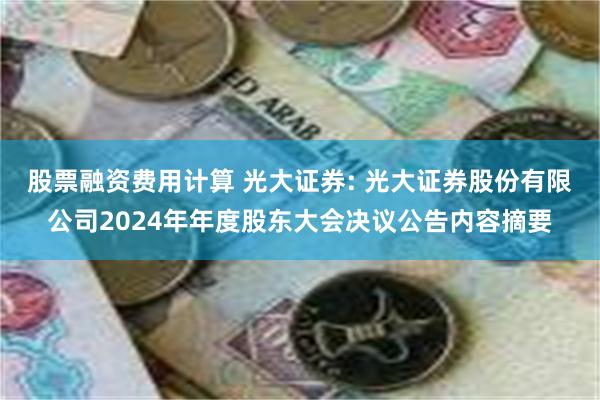 股票融资费用计算 光大证券: 光大证券股份有限公司2024年年度股东大会决议公告内容摘要