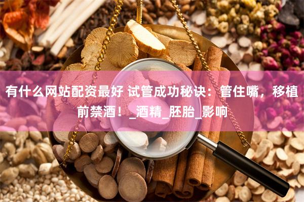 有什么网站配资最好 试管成功秘诀：管住嘴，移植前禁酒！_酒精_胚胎_影响