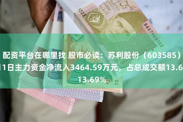 配资平台在哪里找 股市必读：苏利股份（603585）7月1日主力资金净流入3464.59万元，占总成交额13.69%