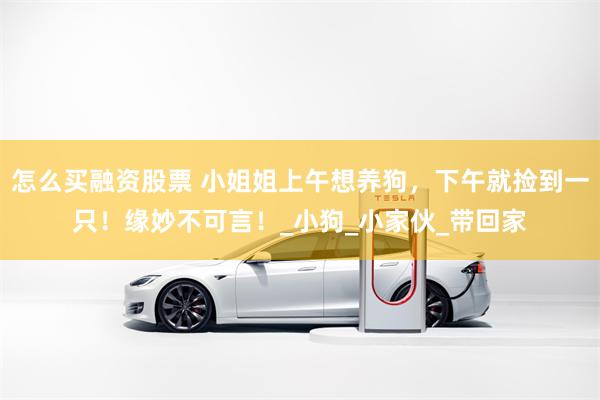 怎么买融资股票 小姐姐上午想养狗，下午就捡到一只！缘妙不可言！_小狗_小家伙_带回家